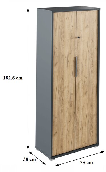 KONDELA Omara s ključavnico, grafit/hrast artisan, RIOMA NEW, TIP 31