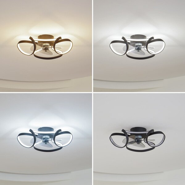 Lindby Stropni ventilator LED Lomata, črn, tih, Ø 23 cm, zatemnjen, Črna, Dnevna soba / jedilnica, Aluminij, Sodobni