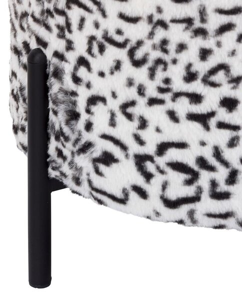 Based Tabure Leo -Trend- Based