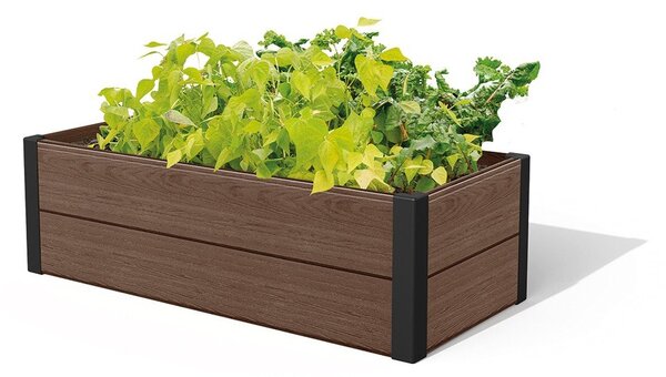 Visoka greda Maple – Keter