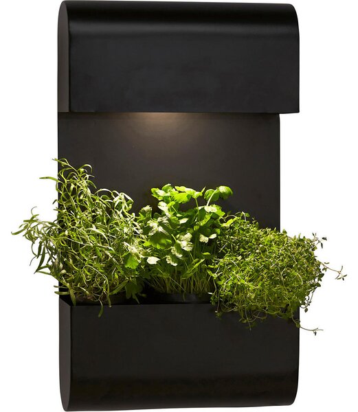 ZUNANJA STENSKA SVETILKA Planta 70/5/40 cm