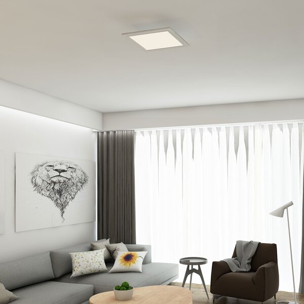 Briloner Stropna svetilka LED Piatto, senzor, 29,5 x cm, Bela, Hodnik, Kovina, Sodobni
