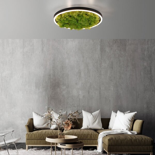 JUST LIGHT. GmbH LED stropna svetilka Green Ritus, mah z možnostjo zatemnitve Ø39,3cm, zatemnjen, Zelena, Dnevna soba / jedilnica, Sodobni