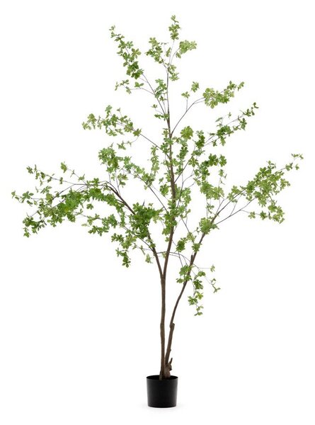 Umetna rastlina (višina 214 cm) Enkianthus – Kave Home