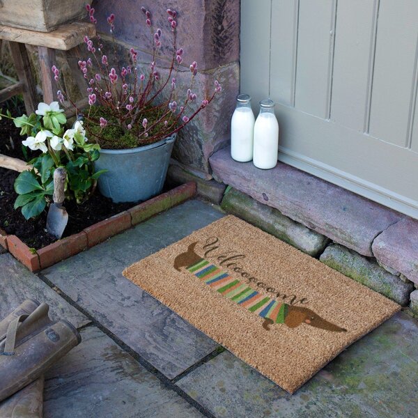 Predpražnik iz kokosovih vlaken 40x60 cm Welcome Sausage Dog – Artsy Doormats