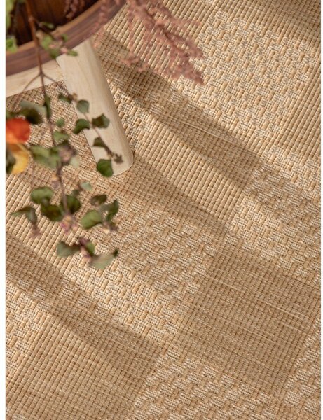 Kremno bela/naravna notranja in zunanja preproga 200x300 cm Haringey Dorothy – Ted Baker