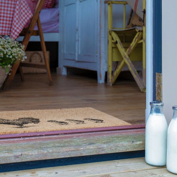 Predpražnik iz kokosovih vlaken 40x60 cm Chickens and Chicks – Artsy Doormats