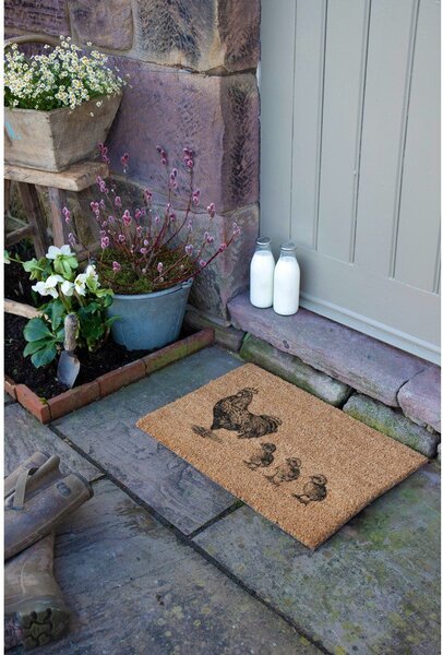 Predpražnik iz kokosovih vlaken 40x60 cm Chickens and Chicks – Artsy Doormats