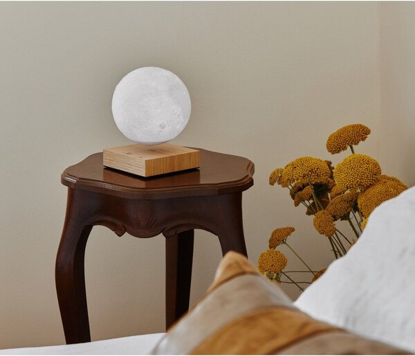 LED namizna svetilka v naravni barvi (višina 14 cm) Moon – Gingko