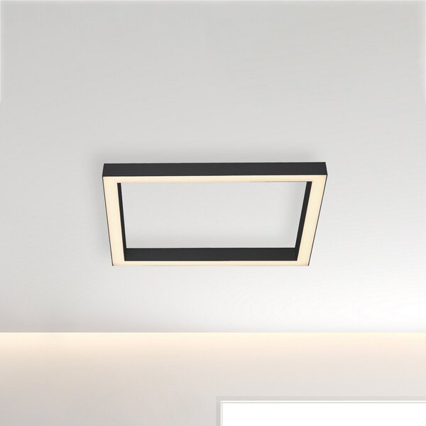 PURE Stropna svetilka LED Lines, 55x55 cm, antracit, CCT, daljinski upravljalnik, zatemnjen, Črna, Dnevna soba / jedilnica, Kovina, Sodobni