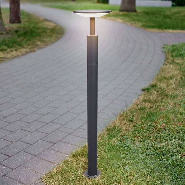 Lucande Lucidna LED luč za osvetlitev poti Fenia, 100 cm, antracit, IP65, Črna, Aluminij, Sodobni