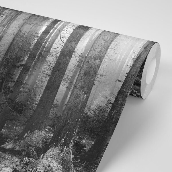 Fototapeta črno-bel skrivnostni gozd
