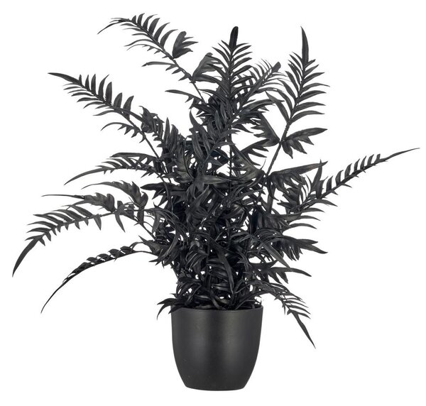 Mömax Umetna Rastlina Pteris Ii -Paz-
