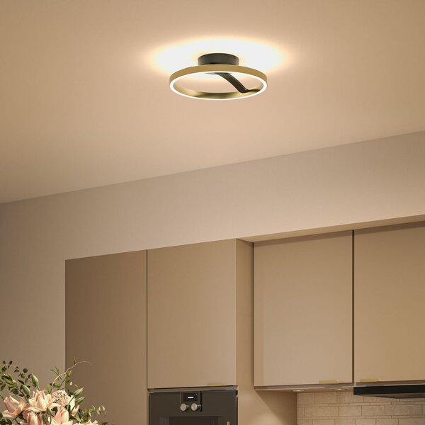 Paulmann LED stropna svetilka Melira, črna/zlata, premer 38 cm, kovina, zatemnjen, Črna, Dnevna soba / jedilnica, Kovina, Sodobni
