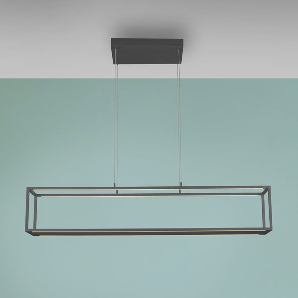 Paul Neuhaus LED-visoka svetilka Conni, črna, 130 cm, CCT, zatemnjen, Črna, Dnevna soba / jedilnica, Aluminij, Sodobni