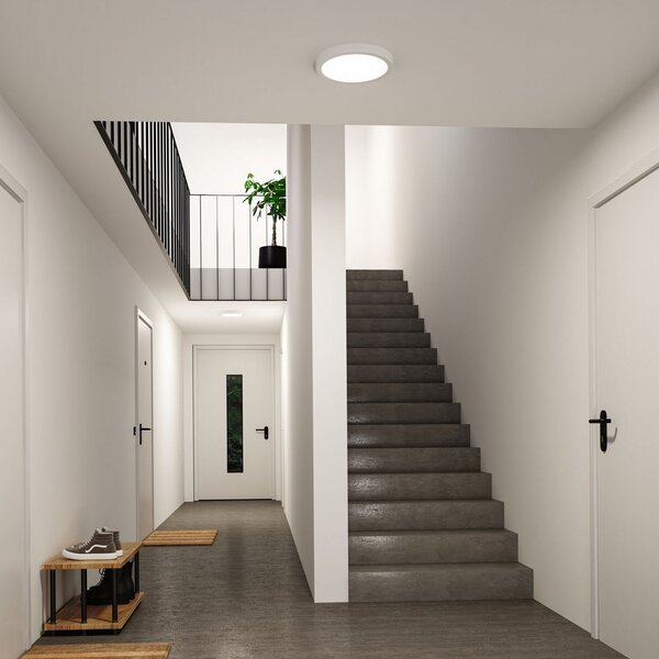 Paulmann LED-stropna svetilka Abia 2, Ø 30 cm, bela, CCT, Bela, Dnevna soba / jedilnica, Plastika, Sodobni