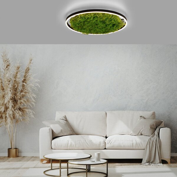 JUST LIGHT. GmbH LED stropna svetilka Green Ritus, mah z možnostjo zatemnitve Ø58,5cm, zatemnjen, Zelena, Dnevna soba / jedilnica, Sodobni