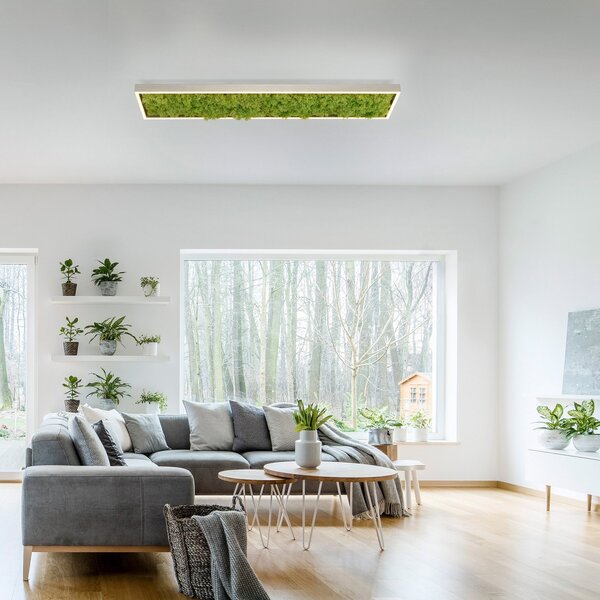 JUST LIGHT. GmbH Stropna svetilka LED Green Knut s pravim mahom, zatemnjen, Zelena, Dnevna soba / jedilnica, Sodobni