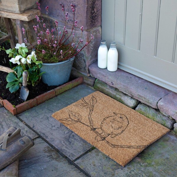 Predpražnik iz kokosovih vlaken 40x60 cm Pencil Robin – Artsy Doormats
