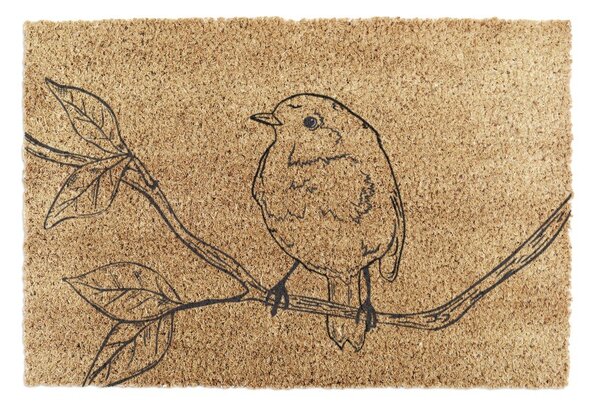 Predpražnik iz kokosovih vlaken 40x60 cm Pencil Robin – Artsy Doormats
