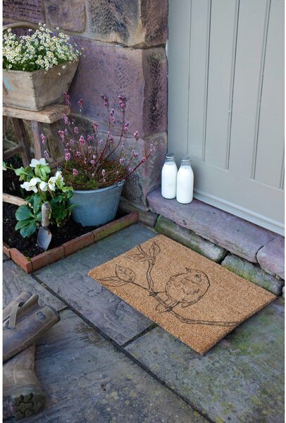 Predpražnik iz kokosovih vlaken 40x60 cm Pencil Robin – Artsy Doormats