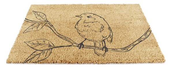 Predpražnik iz kokosovih vlaken 40x60 cm Pencil Robin – Artsy Doormats