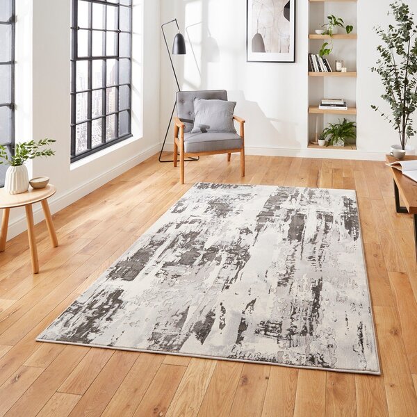 Siva/bež preproga 220x160 cm Apollo - Think Rugs