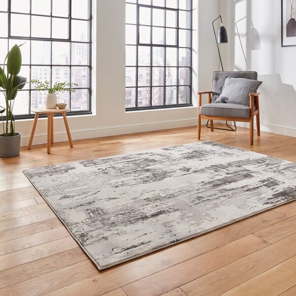 Siva/bež preproga 220x160 cm Apollo - Think Rugs