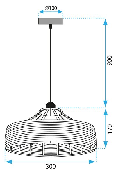 Stropna svetilka APP1317-1CP