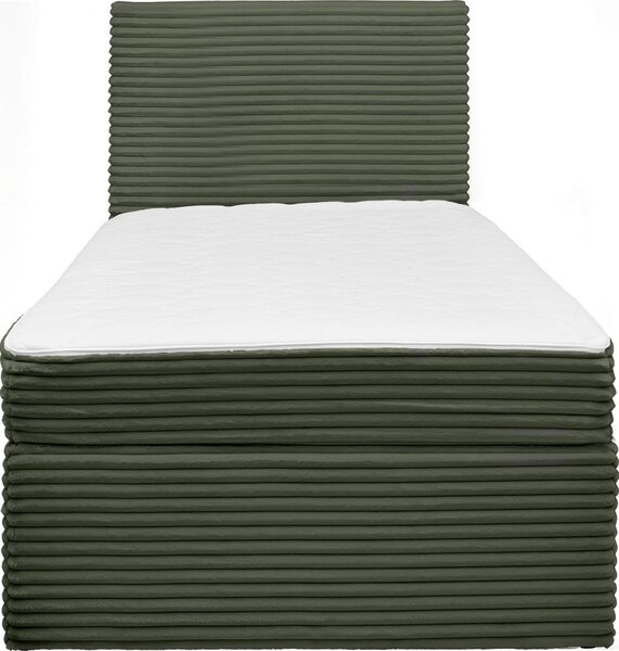 POSTELJA Z VZMETNICO 100 cm x 200 cm , les, tekstil zelena