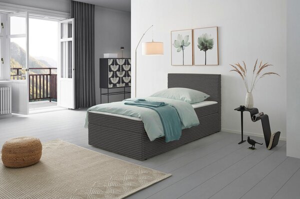 POSTELJA Z VZMETNICO 100 cm x 200 cm , les, tekstil siva
