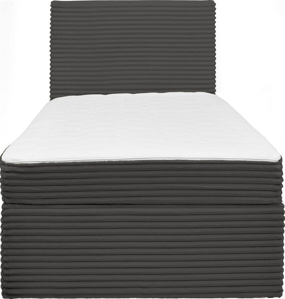 POSTELJA Z VZMETNICO 100 cm x 200 cm , les, tekstil siva