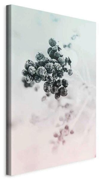 Artgeist Slika Na Platnu Frozen Twig