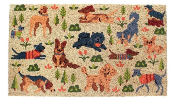 Predpražnik iz kokosovih vlaken 73x43 cm Dog Park – Rex London