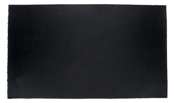 Predpražnik iz kokosovih vlaken 73x43 cm Dog Park – Rex London