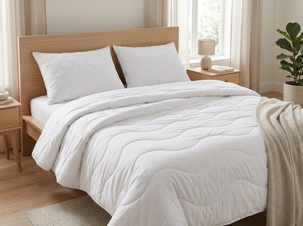 Komplet celoletni francoska odeja 200x220 cm in 2x vzglavnik 50x70 cm