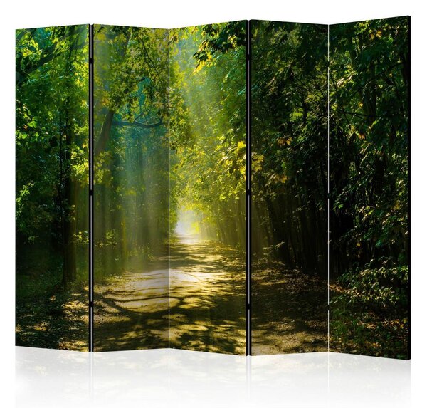 Artgeist Paravan Road In Sunlight I, 5-Delni, Enostranski