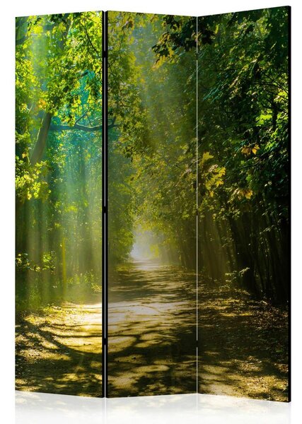 Artgeist Paravan Road In Sunlight, 3-Delni, Dvostranski