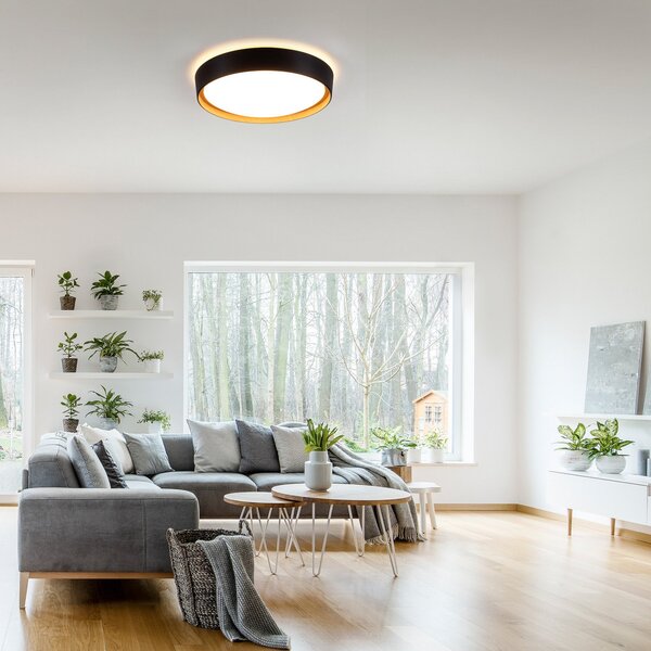 JUST LIGHT. GmbH LED stropna svetilka Emilia 3-stopenjska zatemnitvena črna, zatemnjen, Črna, Dnevna soba / jedilnica, Kovina, Sodobni