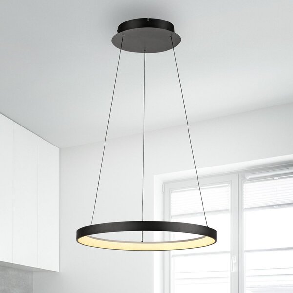Paul Neuhaus LED viseča svetilka Hoop, črna, Ø 57 cm, z možnostjo zatemnitve, zatemnjen, Črna, Dnevna soba / jedilnica, Aluminij, Sodobni