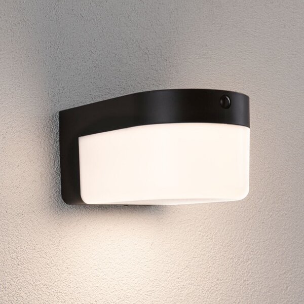 Paulmann LED-stenna svetilka Calyne, 230 V + Solar, črna, 23 cm, Črna, Plastika, Sodobni