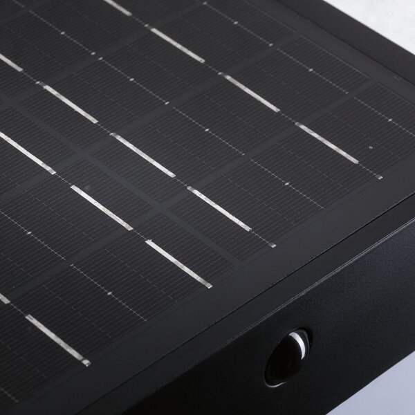 Paulmann LED-stenna svetilka Lioren, 230 V + Solar, črna, 17 cm, Črna, Plastika, Sodobni