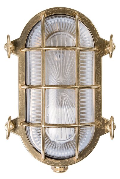 Moretti Luce Stenska svetilka Tortuga ovalna 22,5 cm medenina naravna/čista, zatemnjen, Zlata / medeninasta, Kovina, Pomorski