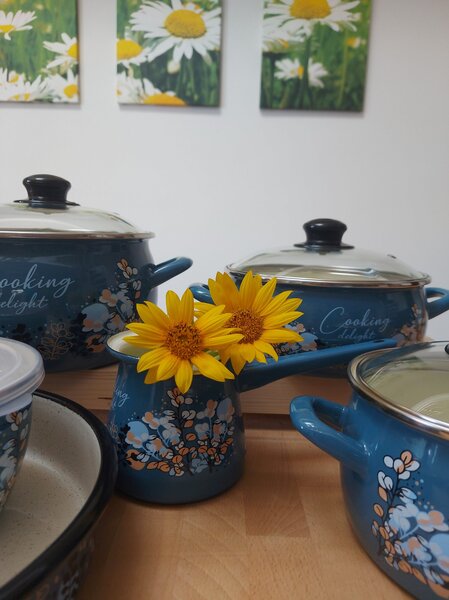Komplet emajlirane posode Cooking delight 7-delni