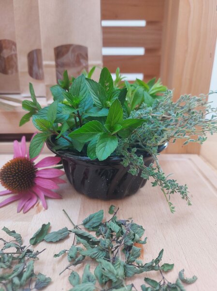 Pekač mini potička Riess