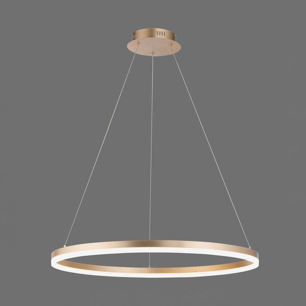 Paul Neuhaus LED viseča svetilka Titus, Ø 80 cm, medenina, zatemnljiva, zatemnjen, Zlata / medeninasta, Dnevna soba / jedilnica, Kovina, Sodobni