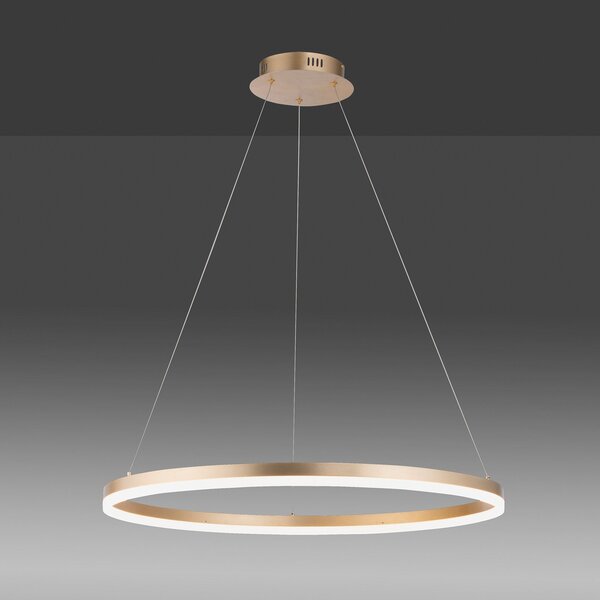 Paul Neuhaus LED viseča svetilka Titus, Ø 80 cm, medenina, zatemnljiva, zatemnjen, Zlata / medeninasta, Dnevna soba / jedilnica, Kovina, Sodobni