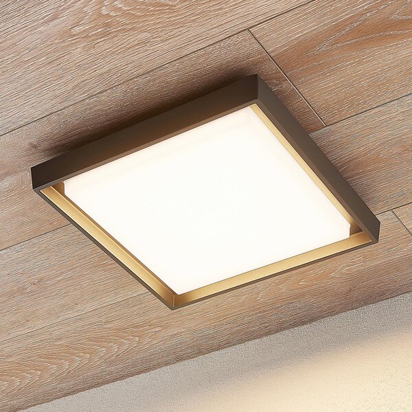 Lucande LED zunanja stropna svetilka Birta, temno siva, IP54, 34 cm, Siva, Kovina, Sodobni