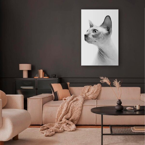 Artgeist Slika Na Platnu Hairless Cat