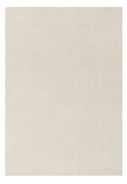 Slonokoščena ročno tkana volnena preproga 120x170 cm Zennith Grid – Asiatic Carpets